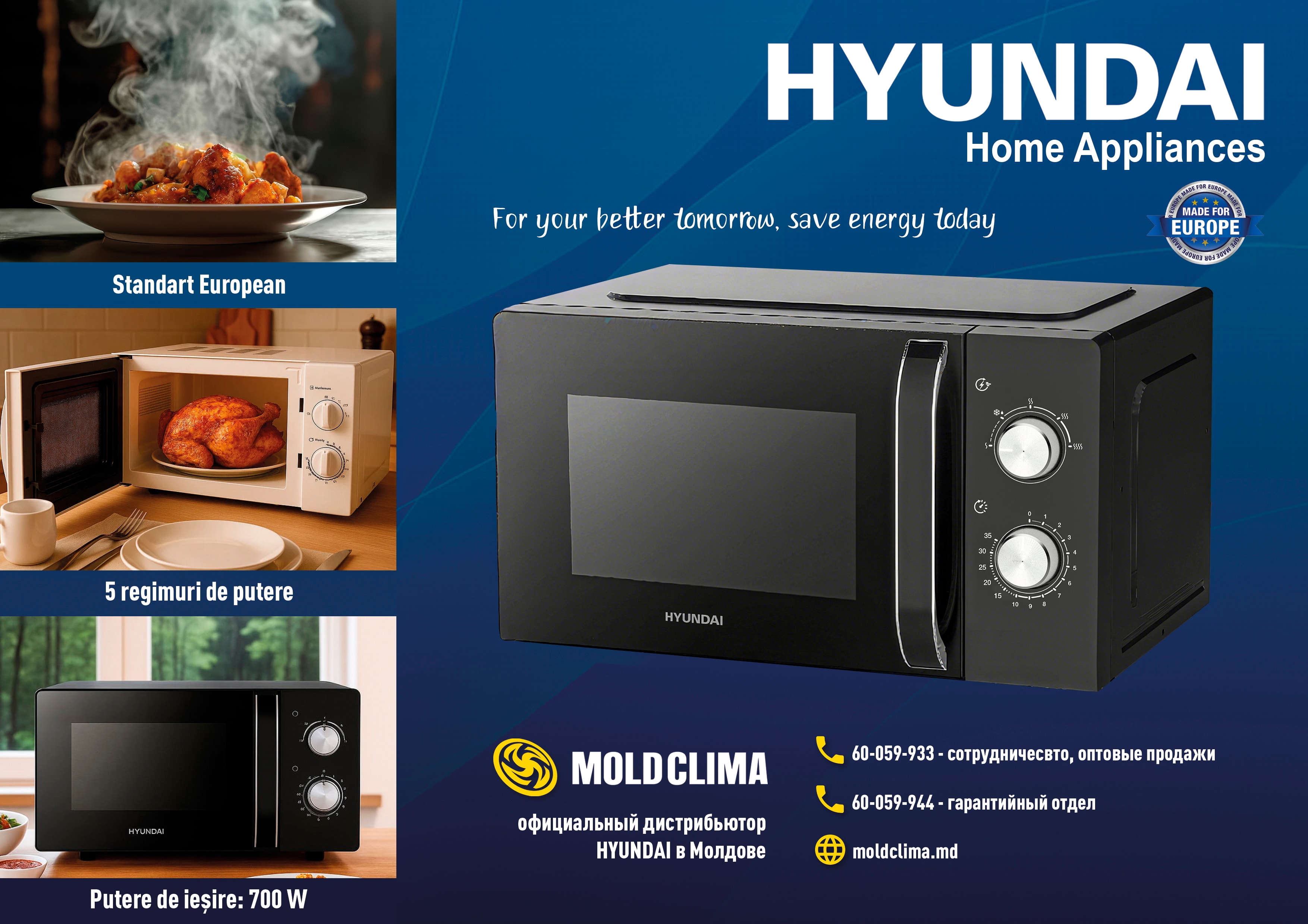 Promotional Flyer Design for Hyundai Home Appliances ('Moldclima' Distributor) 2.1